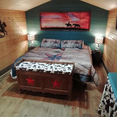 Mezieres-sur-Ponthouin La Valise A Cheval Bed & Breakfast 部屋 写真