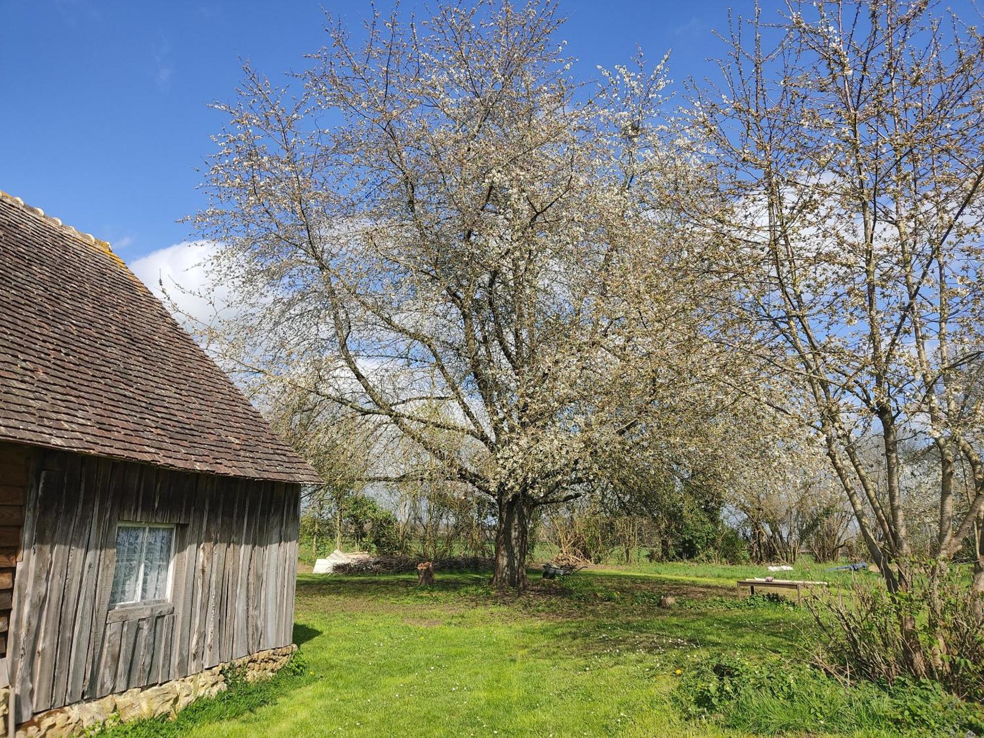 Mezieres-sur-Ponthouin La Valise A Cheval Bed & Breakfast エクステリア 写真