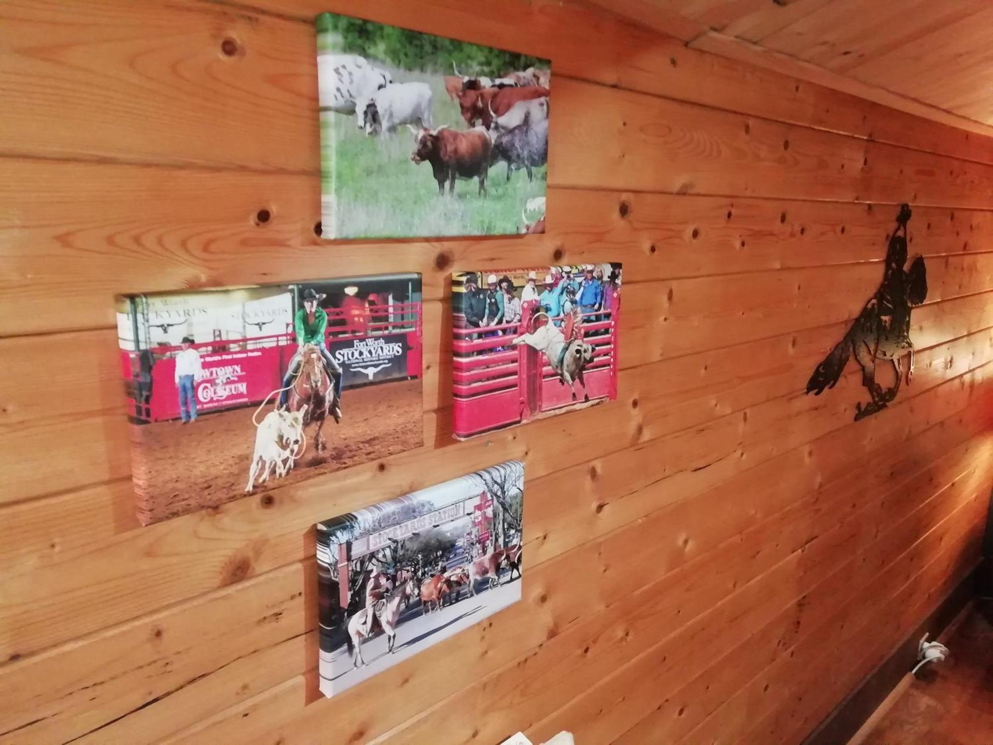 Mezieres-sur-Ponthouin La Valise A Cheval Bed & Breakfast エクステリア 写真
